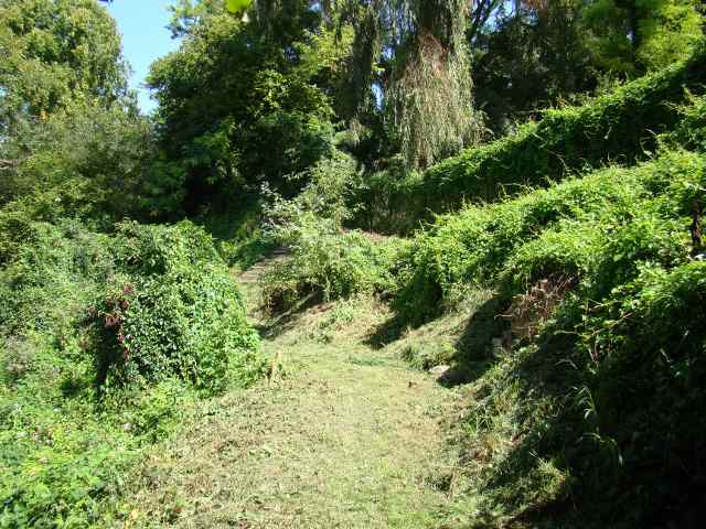T�r�k-k�t, 2009.08.18