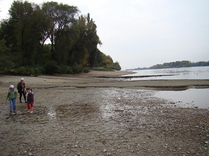DSC03081.JPG