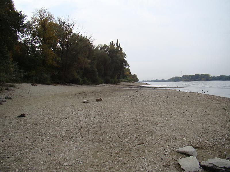 DSC03083.JPG