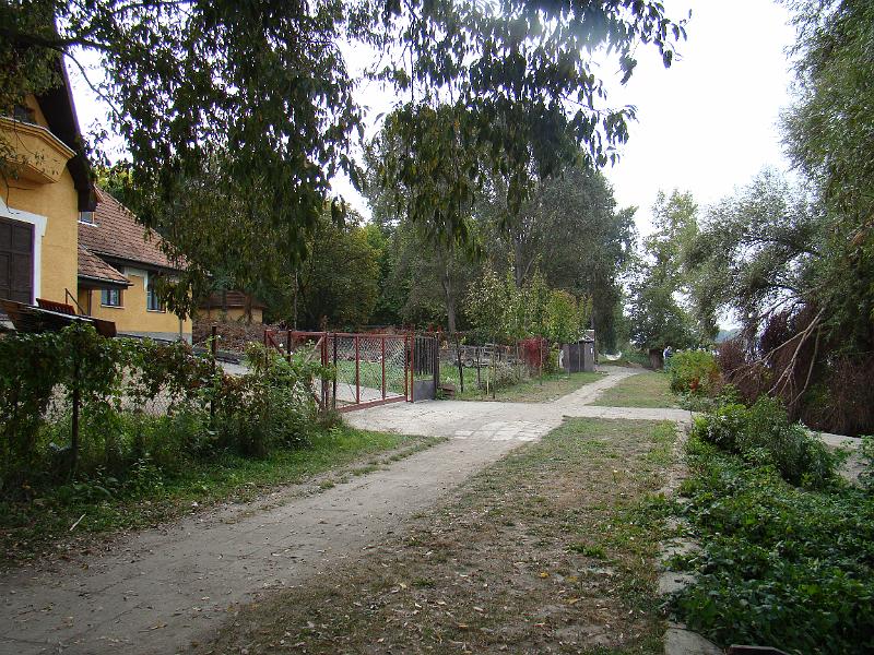 DSC03102.JPG