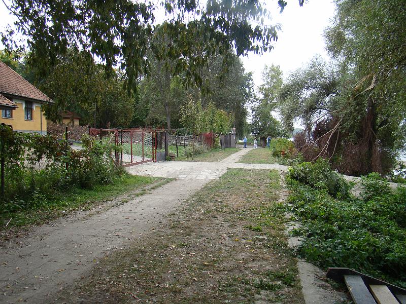 DSC03103.JPG