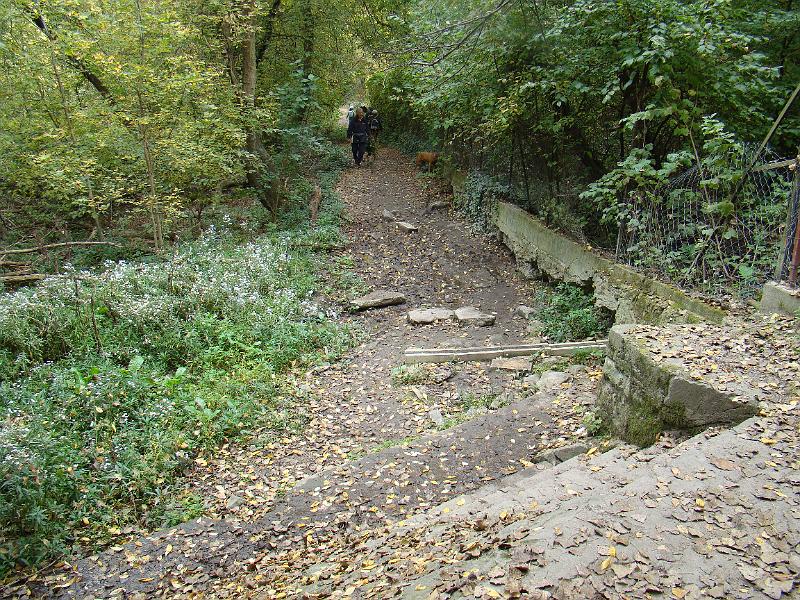 DSC03104.JPG