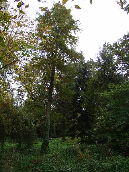 DSC03105.JPG