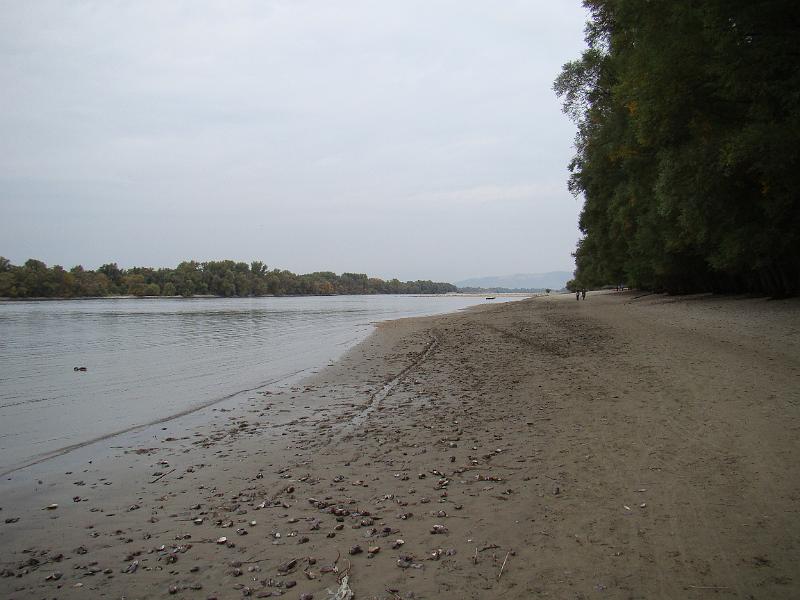 DSC03115.JPG