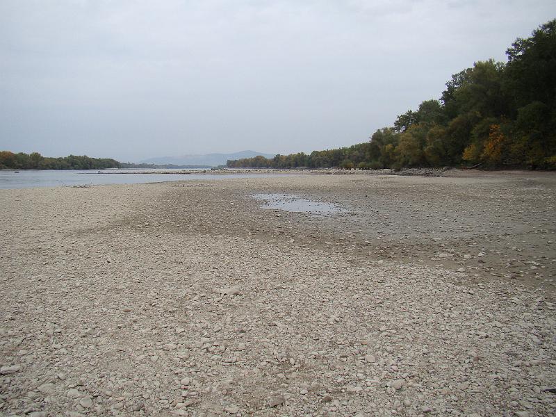 DSC03126.JPG