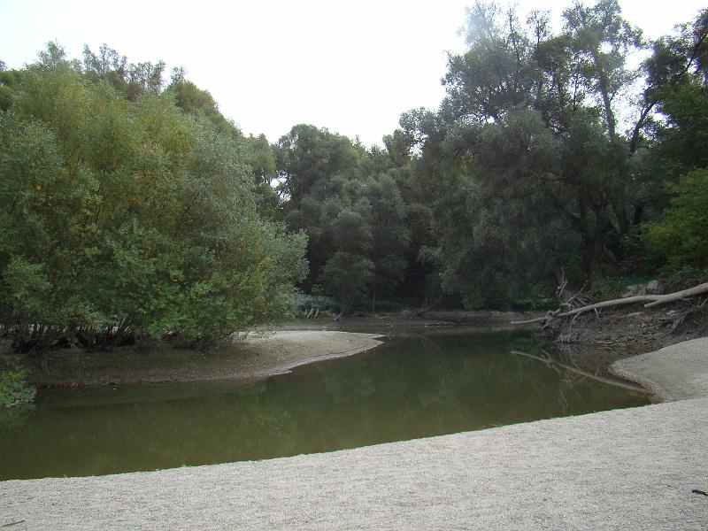 DSC03136.JPG