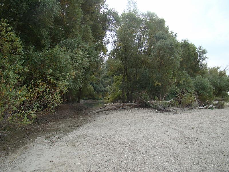 DSC03141.JPG