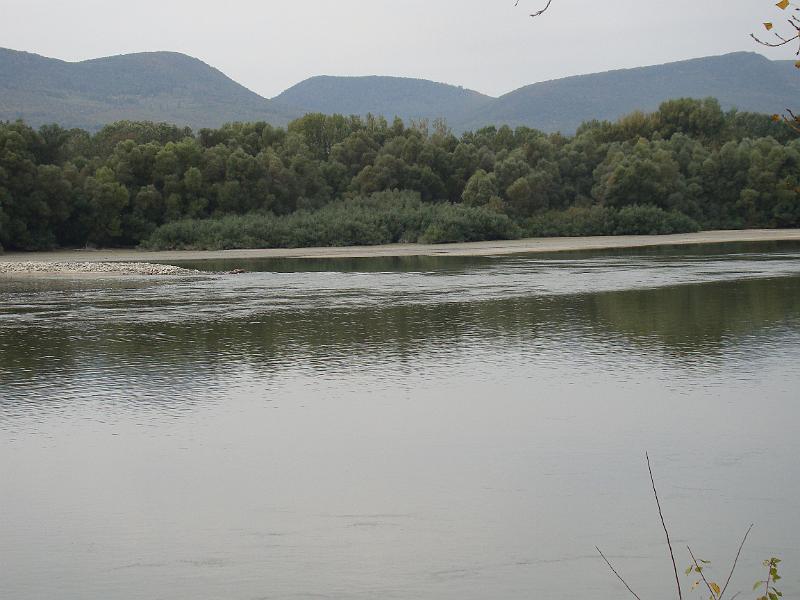 DSC03155.JPG