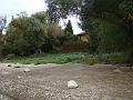 DSC03085
