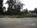 DSC03093