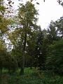 DSC03105