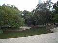 DSC03136