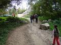 DSC03142