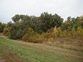 DSC03150